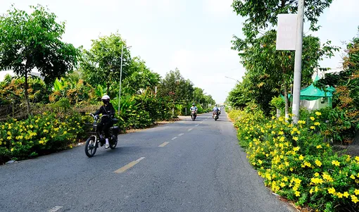 Tạo cảnh quan môi trường nông thôn sáng - xanh - sạch - đẹp