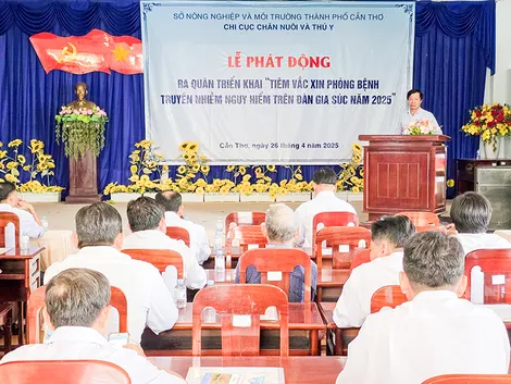 Cần Thơ tổ chức phát động ra quân tiêm phòng bệnh cho gia súc