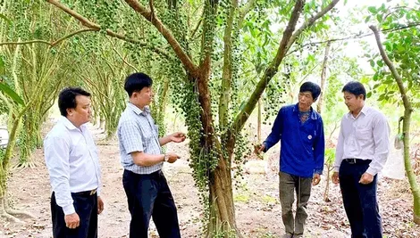 Huy động nguồn vốn cho vay, đáp ứng nhu cầu phát triển sản xuất, kinh doanh