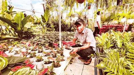 Ðồng hành cùng thanh niên khởi nghiệp