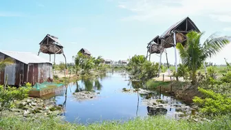 Hiệu quả kinh tế từ mô hình nuôi dơi lấy phân