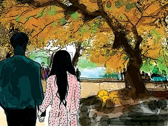Cây cơm nguội vàng