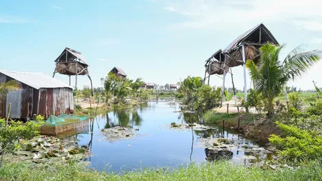 Hiệu quả kinh tế từ mô hình nuôi dơi lấy phân