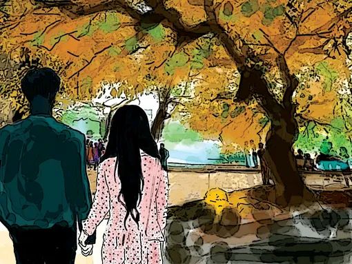 Cây cơm nguội vàng