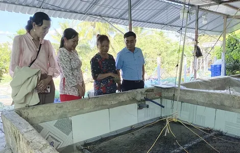 Tiếp tục quan tâm lãnh đạo, chỉ đạo hoạt động tín dụng chính sách xã hội