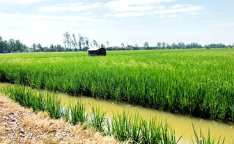 ធានា​ប្រ​ភព​ទឹក​ស្រោច​ស្រព​បម្រើ​ការ​ផលិត