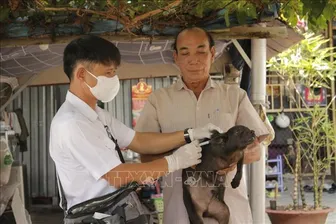 Ca tử vong nghi do bệnh dại đầu tiên trong năm 2025 tại Bà Rịa - Vũng Tàu