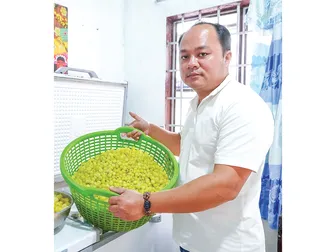 Thu tiền tỉ mỗi năm nhờ chế biến cà na tách hạt