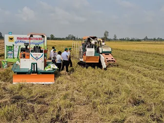 Quản lý sử dụng rơm rạ theo hướng tuần hoàn, giảm phát thải
