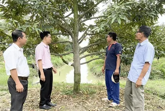 Chi nhánh Ngân hàng Chính sách xã hội TP Cần Thơ phát động phong trào thi đua hoàn thành xuất sắc nhiệm vụ