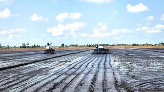 Tổ chức sản xuất và phát triển kinh tế nông thôn theo hướng hiện đại, bền vững