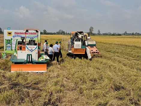 Quản lý sử dụng rơm rạ theo hướng tuần hoàn, giảm phát thải