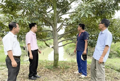 Chi nhánh Ngân hàng Chính sách xã hội TP Cần Thơ phát động phong trào thi đua hoàn thành xuất sắc nhiệm vụ