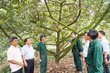 Ðoàn kết giúp nhau giảm nghèo