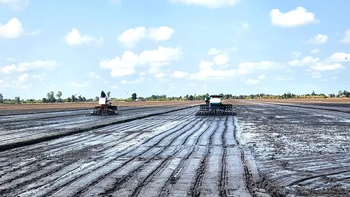 Tổ chức sản xuất và phát triển kinh tế nông thôn theo hướng hiện đại, bền vững