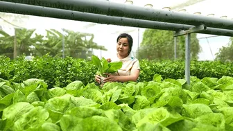 Tạo đột phá phát triển khoa học, công nghệ, đổi mới sáng tạo và chuyển đổi số quốc gia trong lĩnh vực nông nghiệp và môi trường