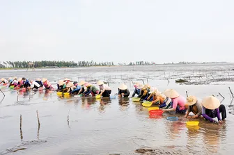 Phát triển thế mạnh nuôi hải sản ven biển