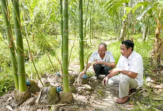 Nêu cao trách nhiệm vì nhân dân phục vụ