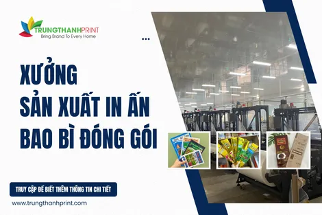 Xưởng sản xuất bao bì đóng gói chuyên nghiệp giá rẻ - Trung Thành Print