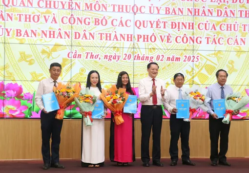 Triển khai thực hiện chính sách, chế độ đối với cán bộ, công chức, viên chức trong sắp xếp tổ chức bộ máy