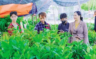 Không gian xanh mát với cây ăn trái cho nhà phố