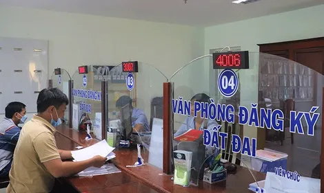 Định hướng sắp xếp, kiện toàn cơ quan chuyên môn về nông nghiệp và môi trường