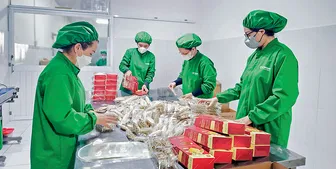 Để doanh nghiệp ĐBSCL vượt khó, thích ứng trước thách thức thương mại toàn cầu