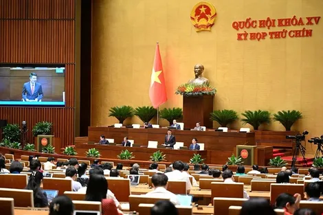 Thiết kế luật pháp phải rõ ràng bảo vệ ai và ưu tiên bảo vệ ai
