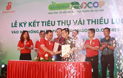 Saigon Co.op ký kết tiêu thụ vải thiều Lục Ngạn tại hơn 800 điểm bán