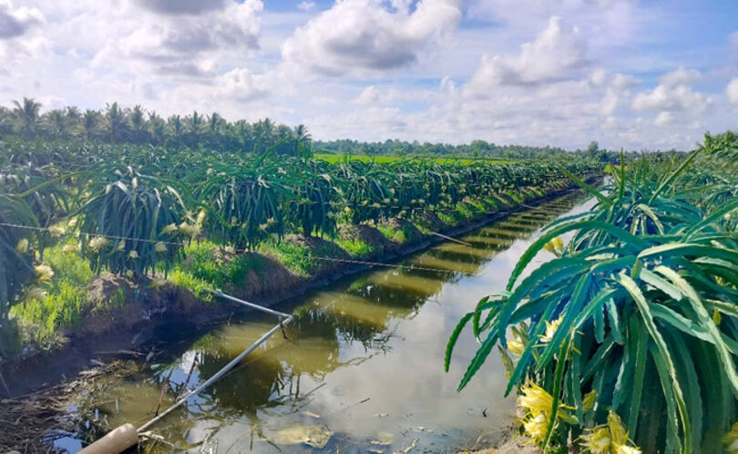 សេដ្ឋ​កិច្ច-​សង្គម​តំ​បន់​មាន​ជន​រួម​ជាតិ​ខ្មែរ​រស់​នៅ​កុះ​ករ​វិវឌ្ឍន៍​ជា​វិជ្ជ​មាន