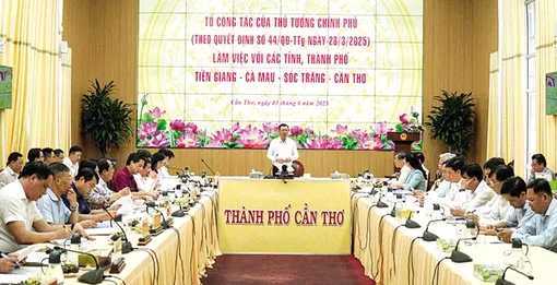 Cần Thơ đã giải quyết đúng thẩm quyền, đúng quy định pháp luật 2 vụ khiếu nại, tố cáo kéo dài, vượt cấp