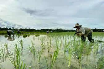 Agriculture drives Indonesia’s economic growth