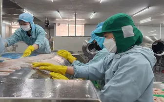 Phấn đấu khu vực kinh tế tư nhân đóng góp khoảng 55-60% GRDP vào năm 2030
