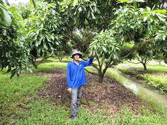 Nâng cao thu nhập nhờ thuê đất trồng cây ăn trái