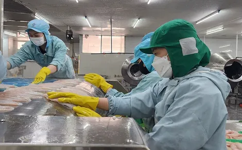 Phấn đấu khu vực kinh tế tư nhân đóng góp khoảng 55-60% GRDP vào năm 2030
