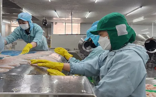 Phấn đấu khu vực kinh tế tư nhân đóng góp khoảng 55-60% GRDP vào năm 2030