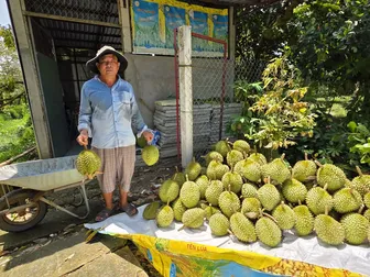 Dạo quanh thị trường