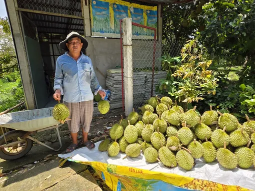 Dạo quanh thị trường