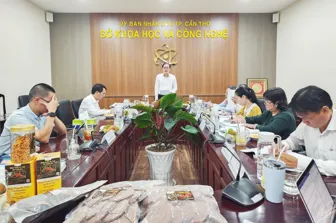 Xây dựng mô hình ứng dụng công nghệ nhân giống nấm dạng dịch thể và sản xuất nấm ăn, nấm dược liệu tại TP Cần Thơ