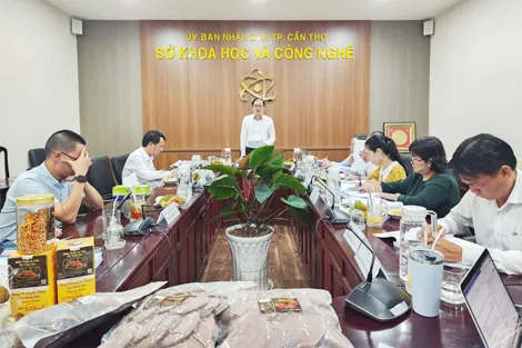 Xây dựng mô hình ứng dụng công nghệ nhân giống nấm dạng dịch thể và sản xuất nấm ăn, nấm dược liệu tại TP Cần Thơ