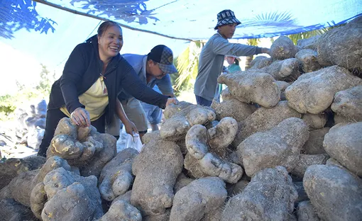 Đổi thay nhờ vốn tín dụng chính sách