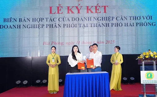 Ngày hội kết nối, tiêu thụ sản phẩm sầu riêng Cần Thơ tại Hải Phòng
