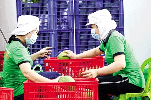 Kim ngạch xuất khẩu hàng hóa tăng 14%