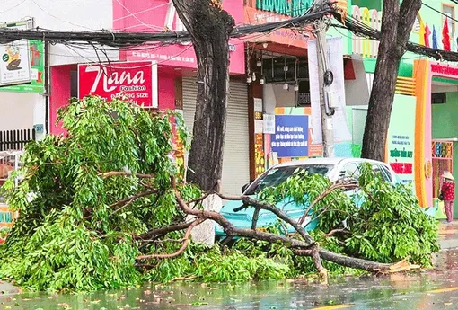 Ðề phòng mưa giông gây nguy hiểm, ảnh hưởng tính mạng, tài sản người dân Ðề phòng mưa giông gây nguy hiểm, ảnh hưởng tính mạng, tài sản người dân