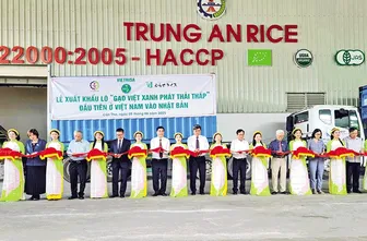 Bước tiến mới của ngành hàng lúa gạo Việt Nam trên thị trường xuất khẩu