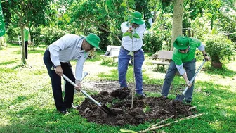 Hưởng ứng phong trào trồng cây xanh