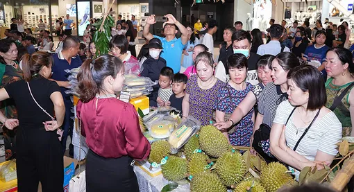 Kết nối tiêu thụ nông sản giữa TP Cần Thơ - TP Hải Phòng