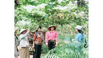 Mở rộng không gian, thúc đẩy du lịch địa phương phát triển