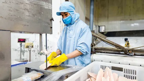 Khơi tiềm năng cho hàng hóa Việt vào thị trường Canada