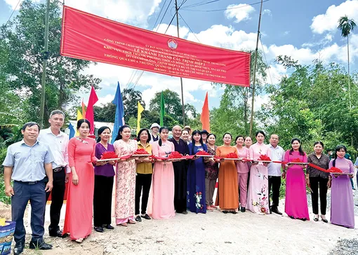 Thực hiện tốt công tác kiểm tra, giám sát